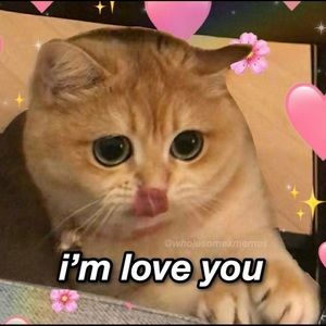 Meet your Posher, Brook